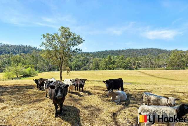 Rural For Sale in Eurobodalla Shire Council, New South Wales