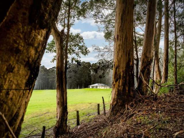 House For Sale in Shire Of Manjimup, Western Australia