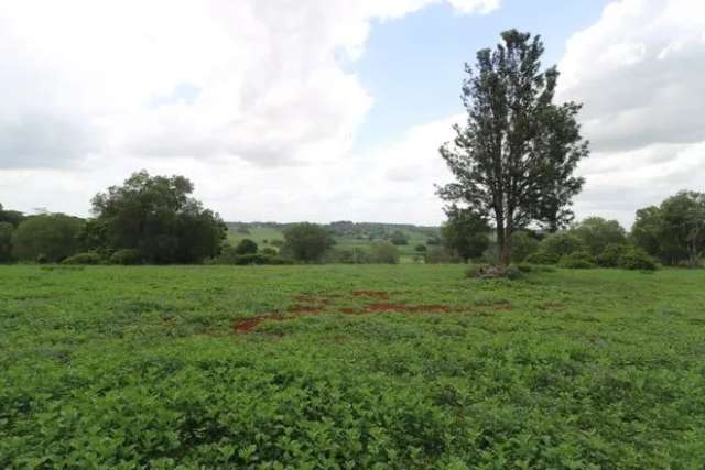 Land For Sale in Childers, Queensland