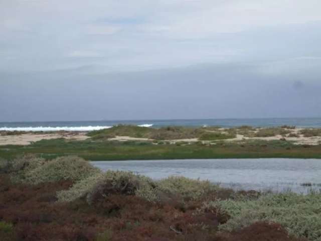 Land For Sale in Port Denison, Western Australia