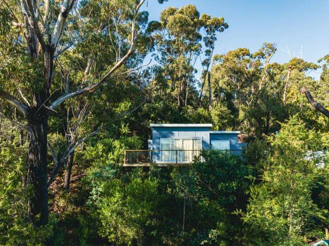 House For Sale in Stieglitz, Tasmania