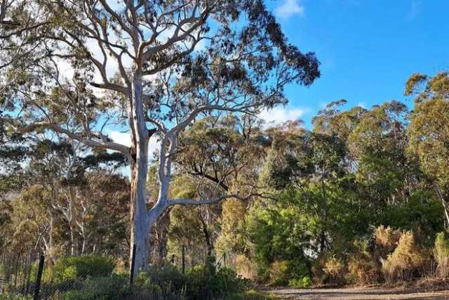 House For Sale in Goulburn, New South Wales