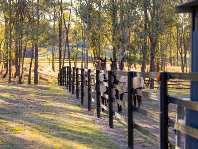  Celbridge Farm - Where equestrian excellence meets luxury living.