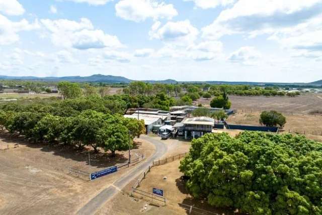 House For Sale in Mareeba Shire, Queensland