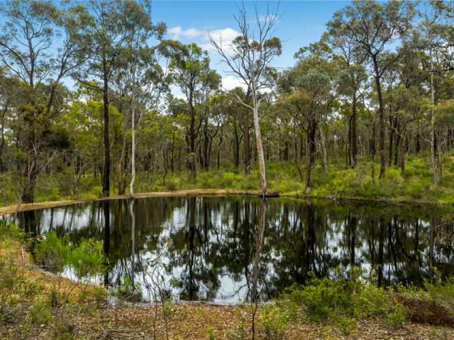 Rare Opportunity For a Prime 28-Acre Allotment