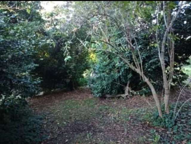 Idyllic vacant Land in sought after area, land bank or possible Tiny House site