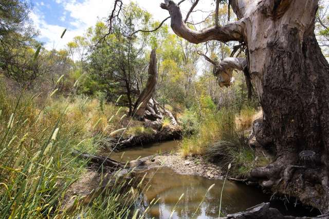 Land For Sale in City of Greater Bendigo, Victoria