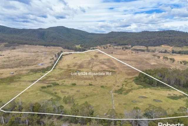 Land For Sale in Braidwood, New South Wales