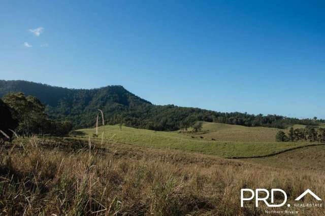 Rural For Sale in Wiangaree, New South Wales