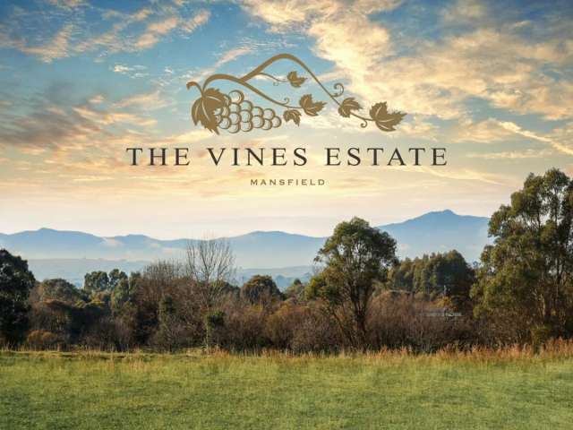 THE VINES - NEW LAND RELEASE COMING SOON