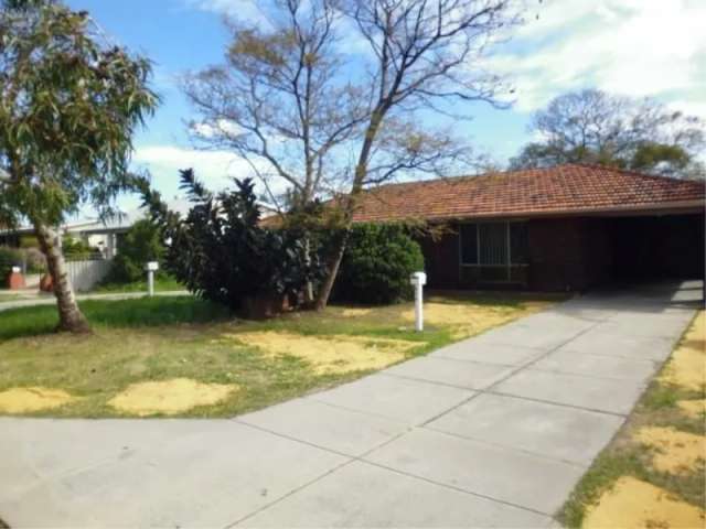 House For Rent in City of Stirling, Western Australia