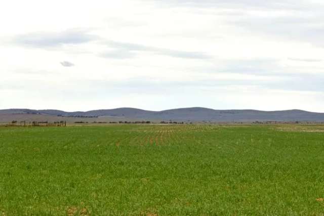 Rural For Sale in Noosa Shire, Queensland