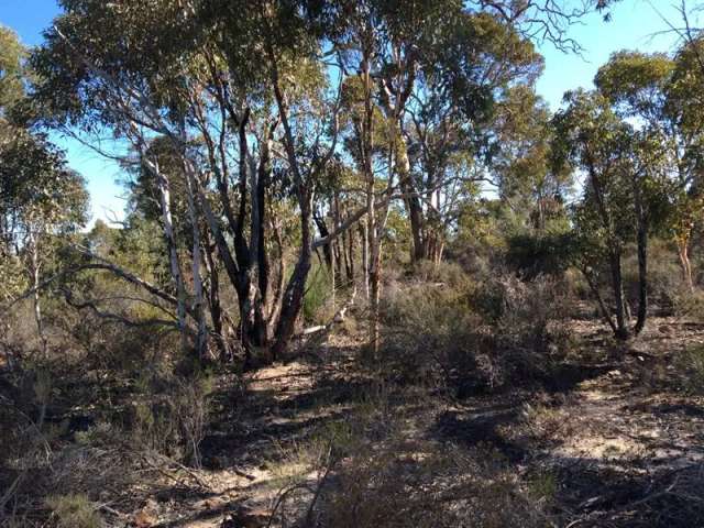 Land For Sale in Toodyay, Western Australia