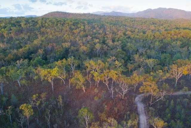 Land For Sale in Mareeba Shire, Queensland