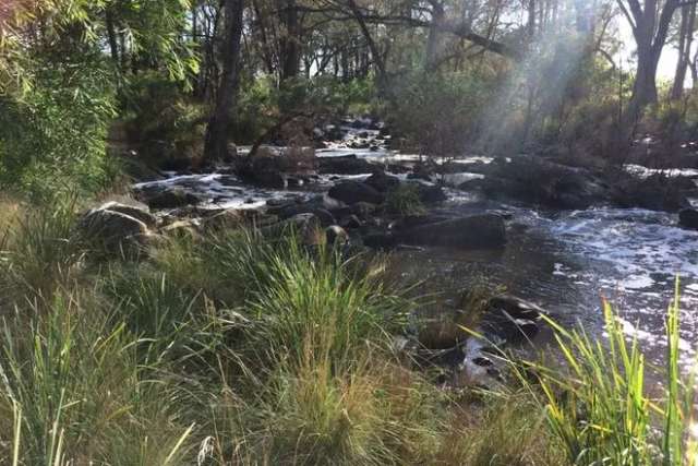 Acreage For Sale in Tenterfield, New South Wales