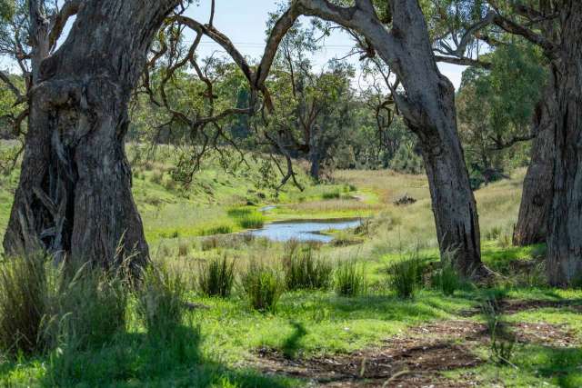 Rural For Sale in Narrabri, New South Wales