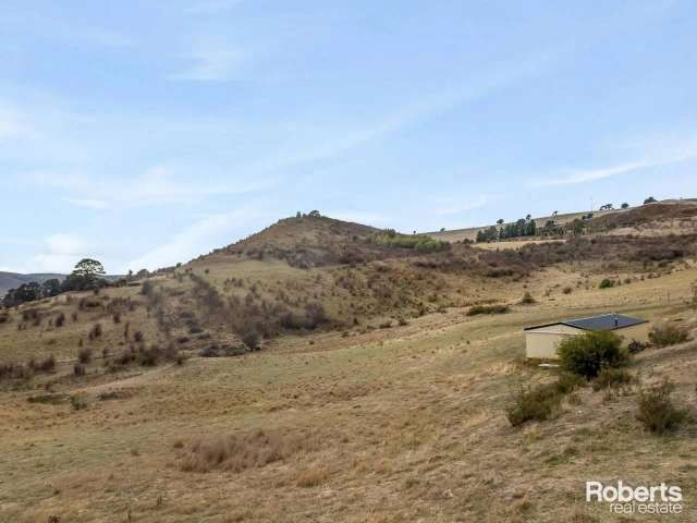 Block For Sale in Snowy Monaro Regional Council, New South Wales