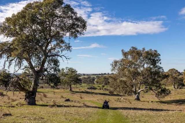 Rural For Sale in Keyneton, South Australia