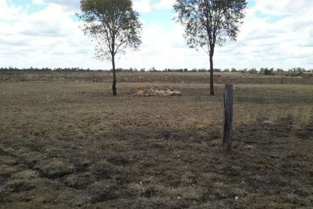 Land For Sale in Dalby, Queensland