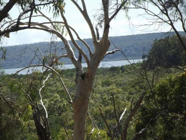 Waterfront Part Acreage, 2 Lots, totalling 2,353 m2, East Side of Macleay