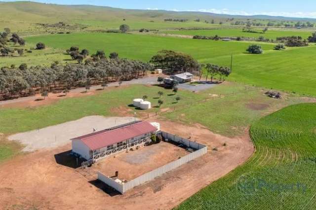 Acreage For Sale in Keyneton, South Australia