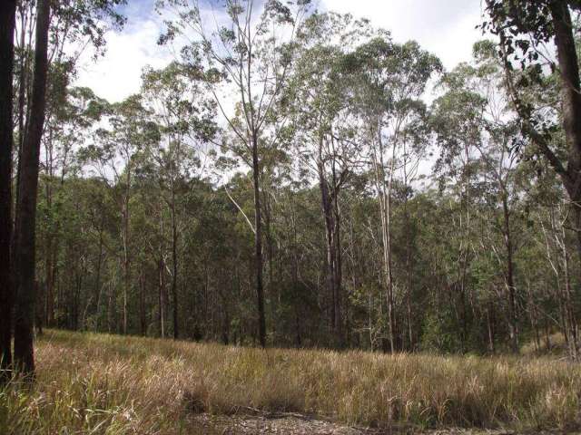 Block For Sale in Gympie Regional, Queensland