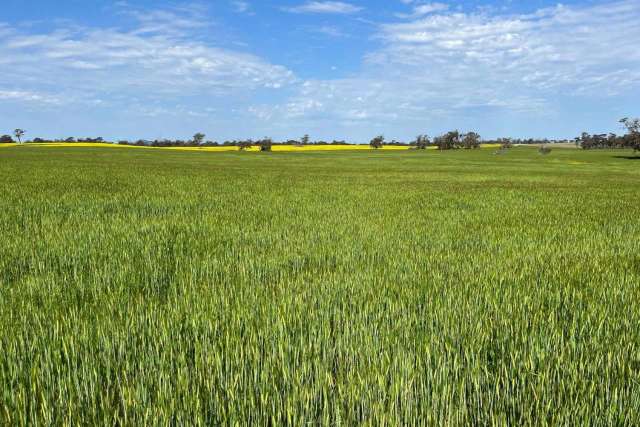 Rural For Sale in Cranbrook, Western Australia