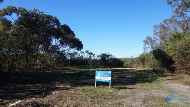 BUILD UP FOR THE VIEW OF LAKE REEVE