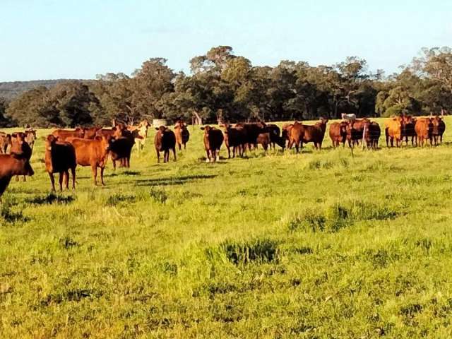 Rural For Sale in Muchea, Western Australia