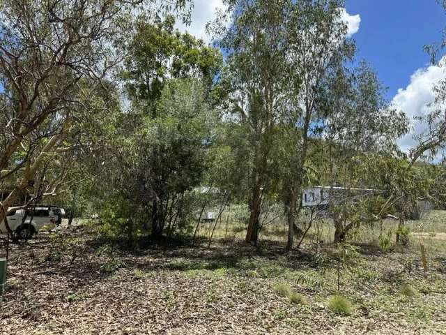 600m2 sloping lot with established trees