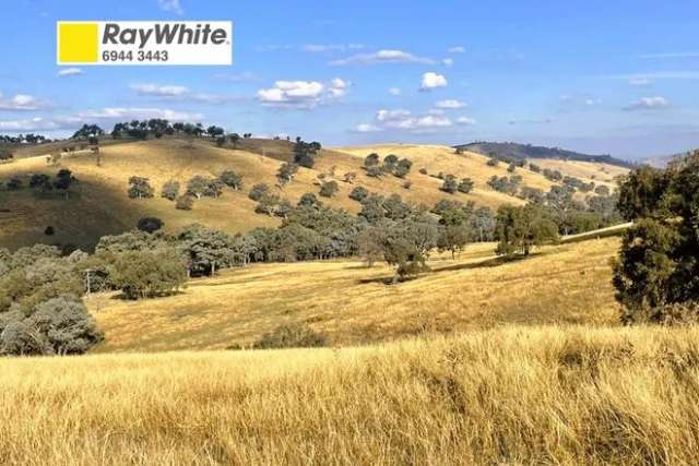 Land For Sale in null, New South Wales