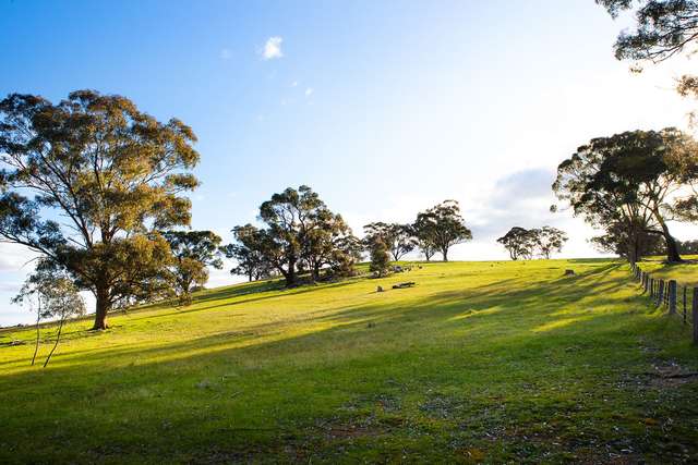 Land For Sale in Shire of Mount Alexander, Victoria